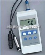 南昌*TM1200涂层测厚仪
